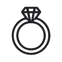 THE WEDDING OF Maya and Layton